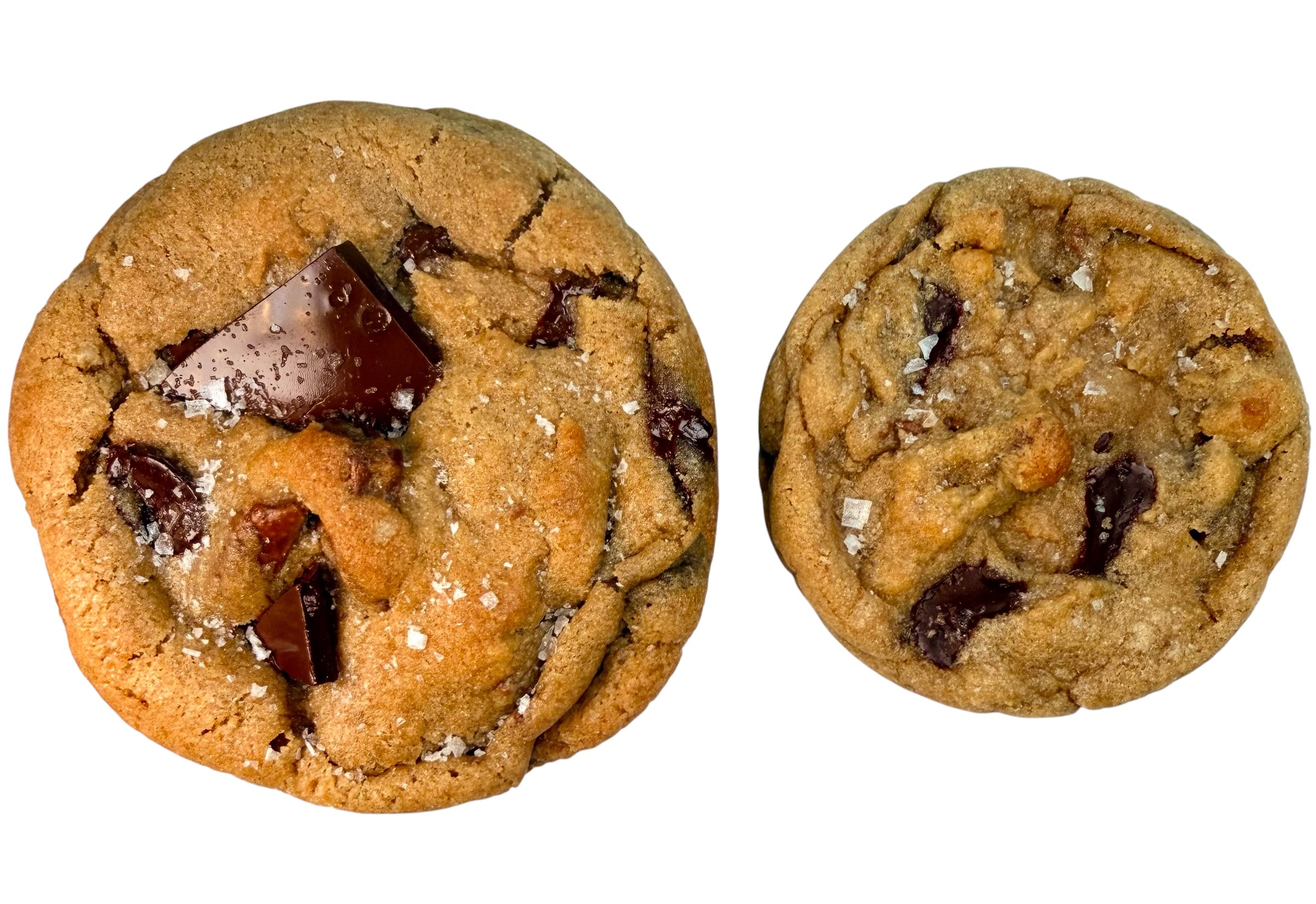 Choco-Lexi Chip Cookie (petite)
