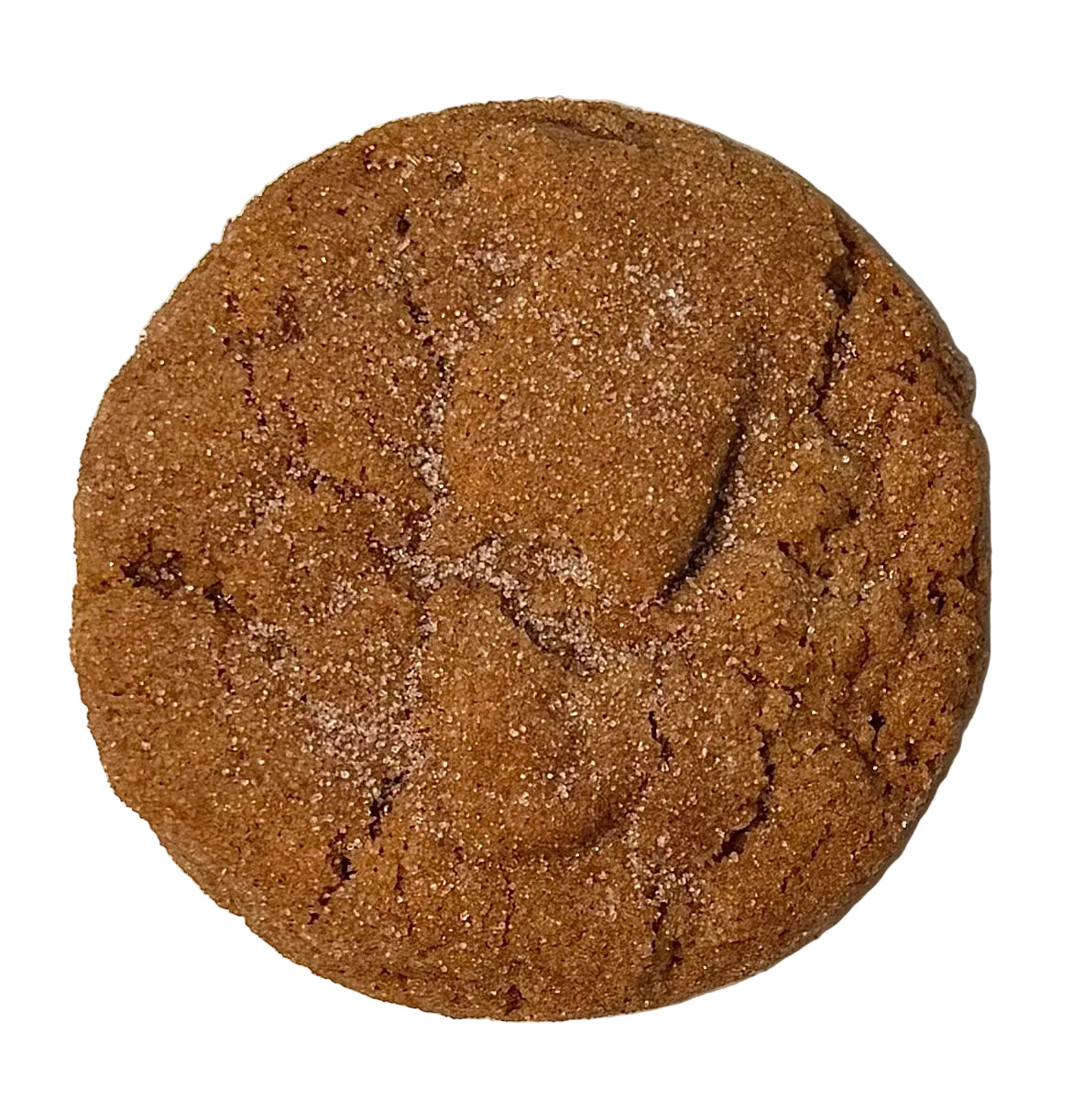 Pumpkin Snickerdoodle