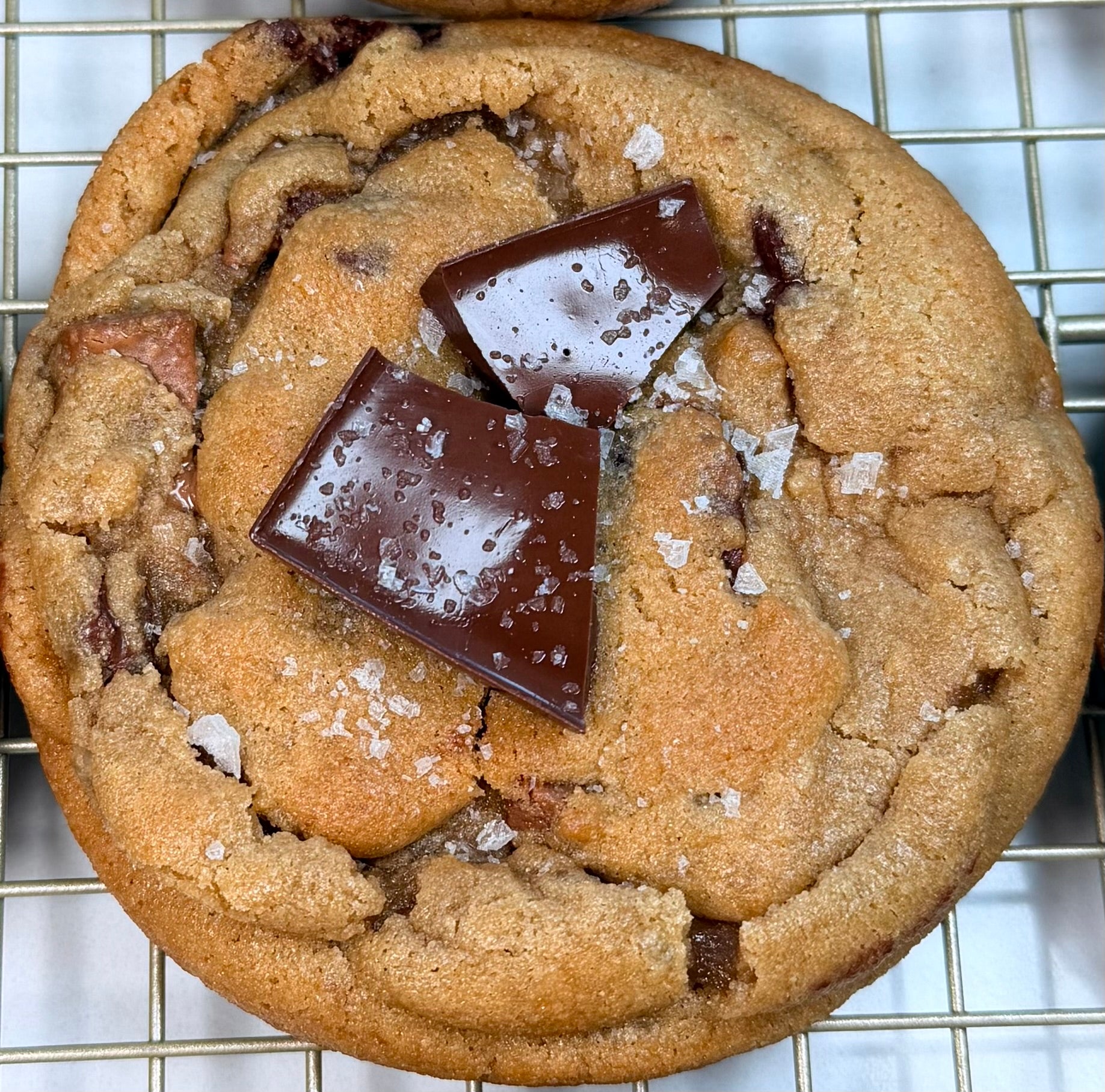 Choco-Lexi Chip Cookie